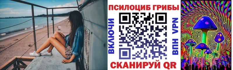 Псилоцибиновые грибы Cubensis  купить  сайты  Кострома 